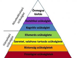 Maslow szükséglet piramisa